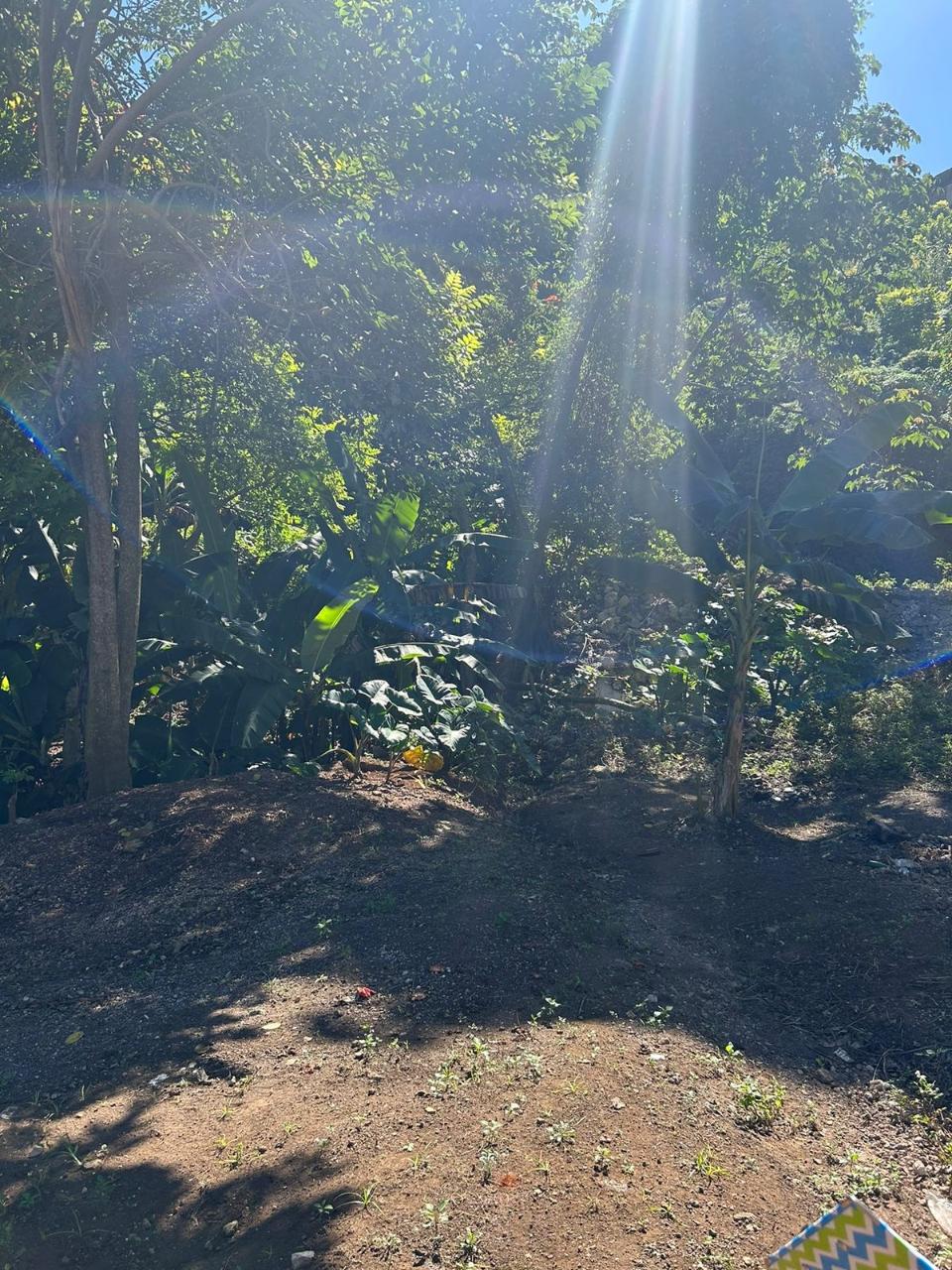 Prime-Commercial-Property-for-Sale-in-Mandeville-Jamaica Fifth image of 7 Wesley rd in Mandeville, Manchester, Jamaica - property is For Sale