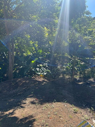 Fifth image of 7 Wesley rd in Mandeville, Manchester, Jamaica - property is For Sale