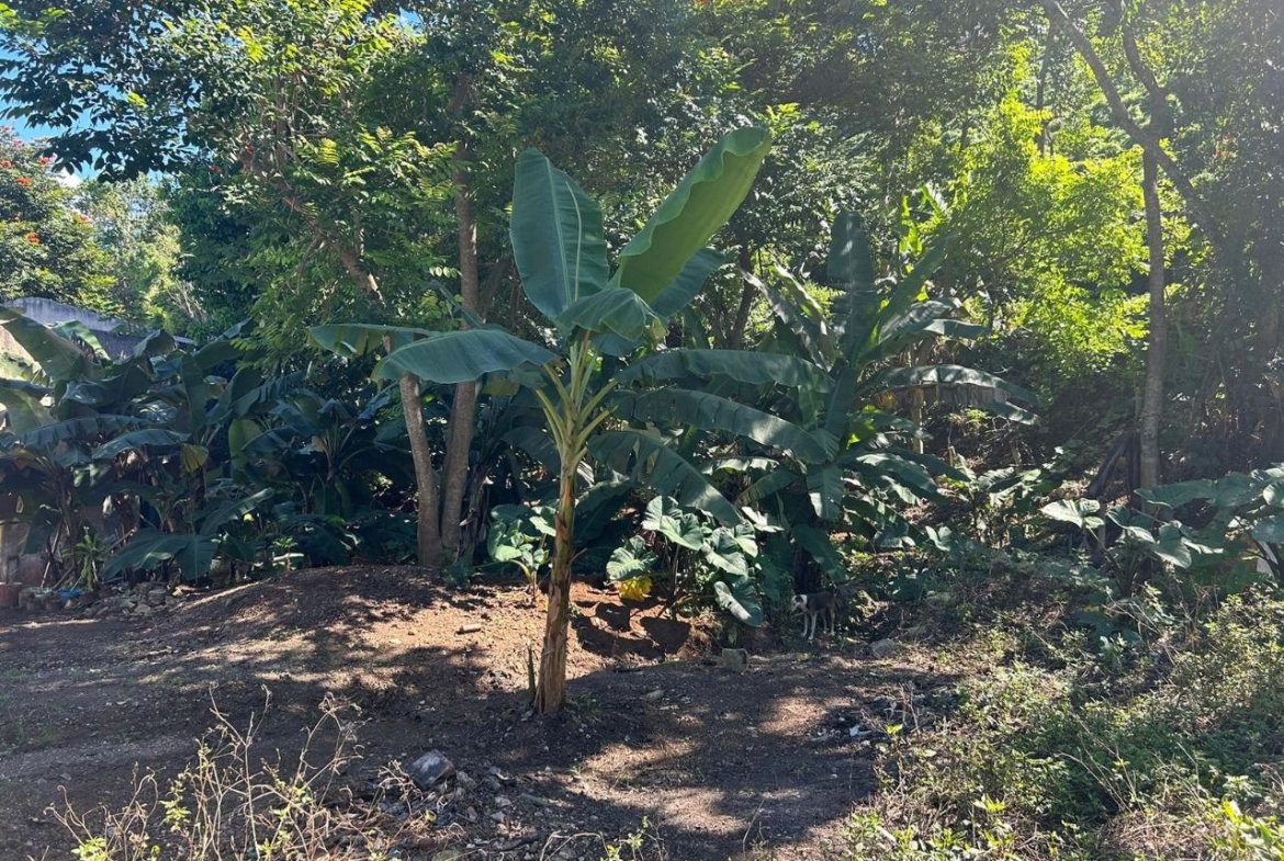 Sixth image of 7 Wesley rd in Mandeville, Manchester, Jamaica - property is For Sale