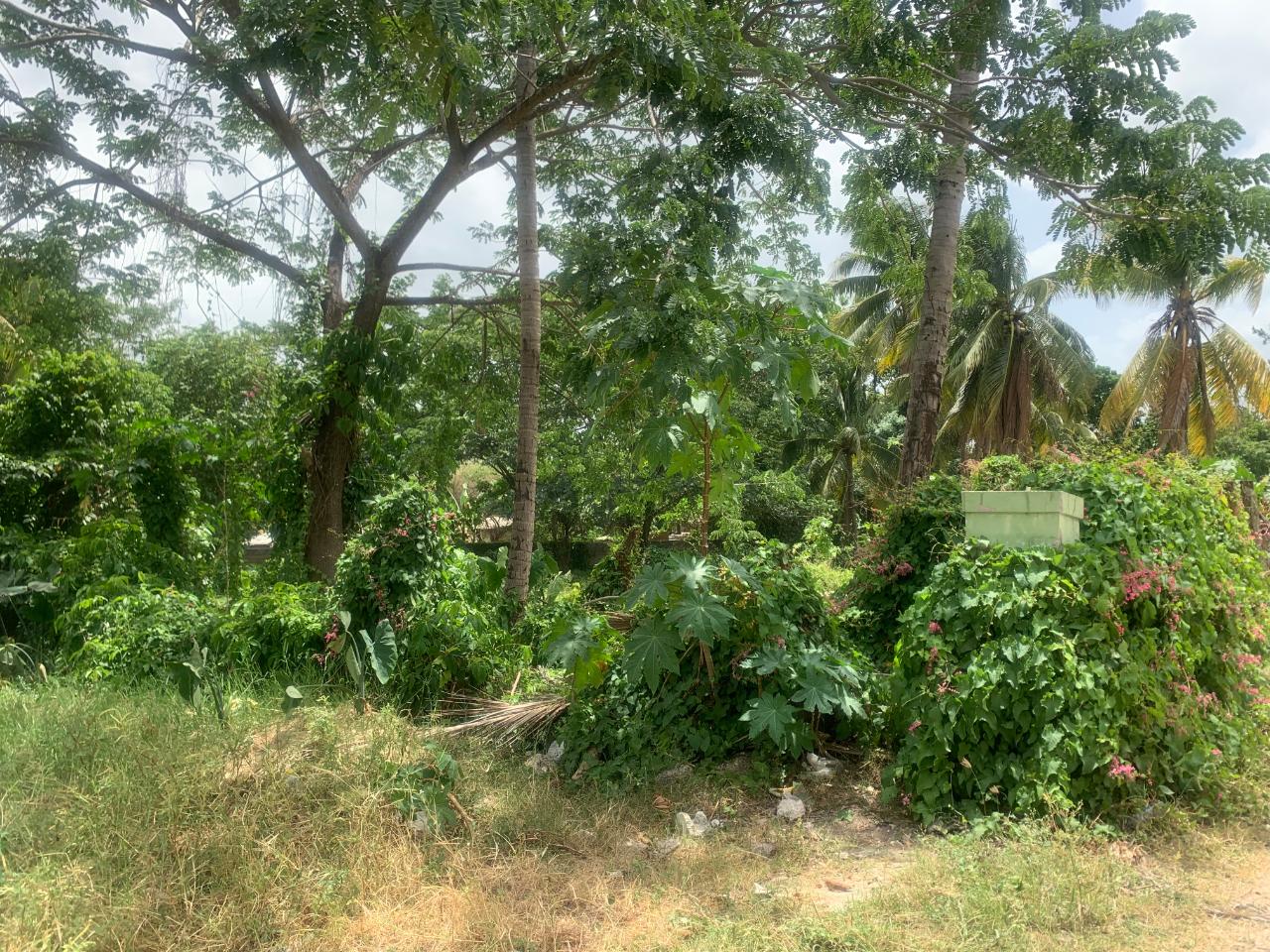 Seventh image of Jewel Close Santa Cruz in Santa Cruz, St. Elizabeth, Jamaica - property is For Sale