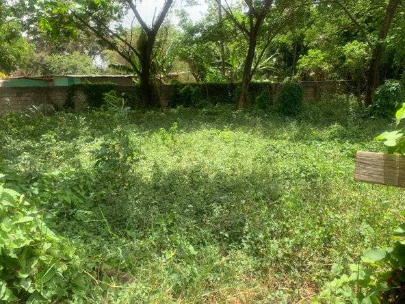 Ninth image of Jewel Close Santa Cruz in Santa Cruz, St. Elizabeth, Jamaica - property is For Sale