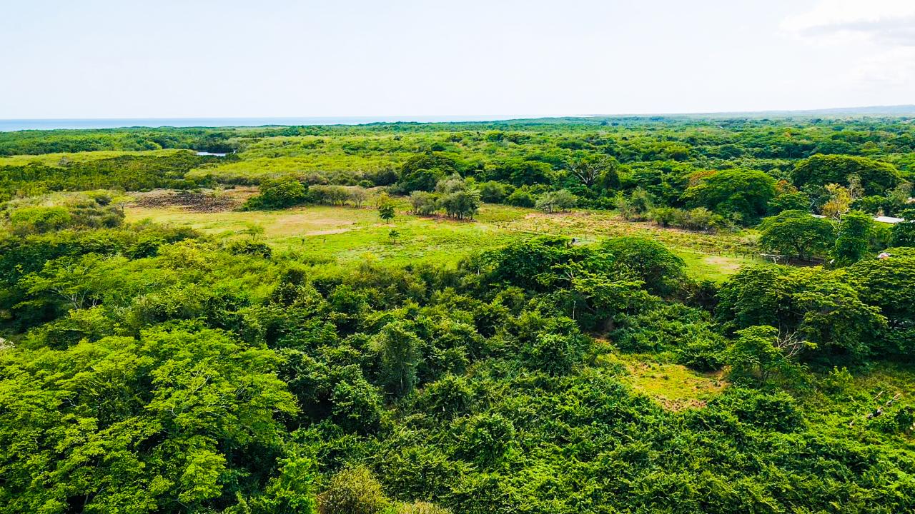 Third image of Sav-la-mar Main rd Landilo in Savanna-La-Mar, Westmoreland, Jamaica - property is For Sale