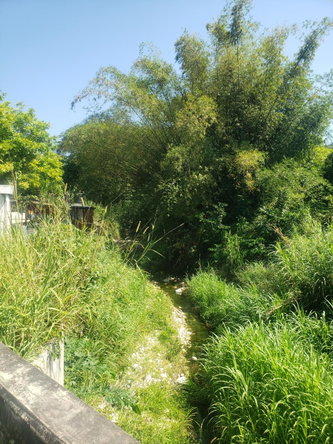 Sixth image of Trinity in Port Maria, St. Mary, Jamaica - property is For Sale