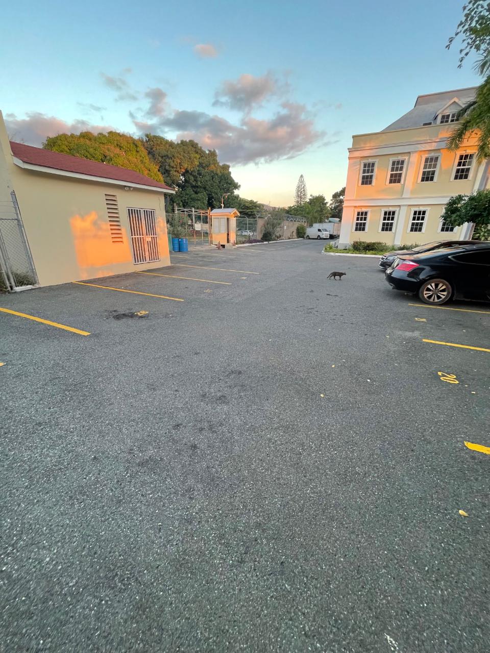 Third image of Section 4-2 Ruthven Road in Kingston 10, St. Andrew, Jamaica - property is For Rent