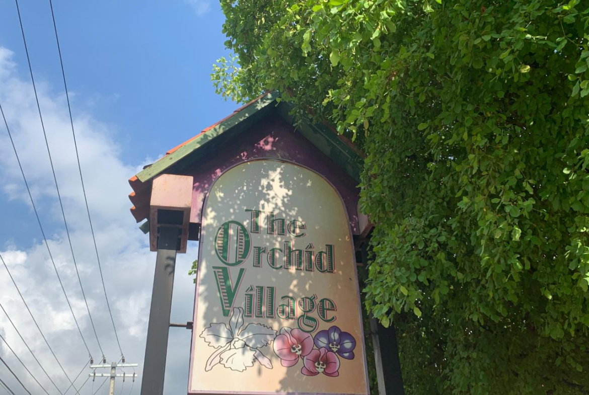 Third image of 1- Barbican Road in Kingston 6, St. Andrew, Jamaica - property is For Rent