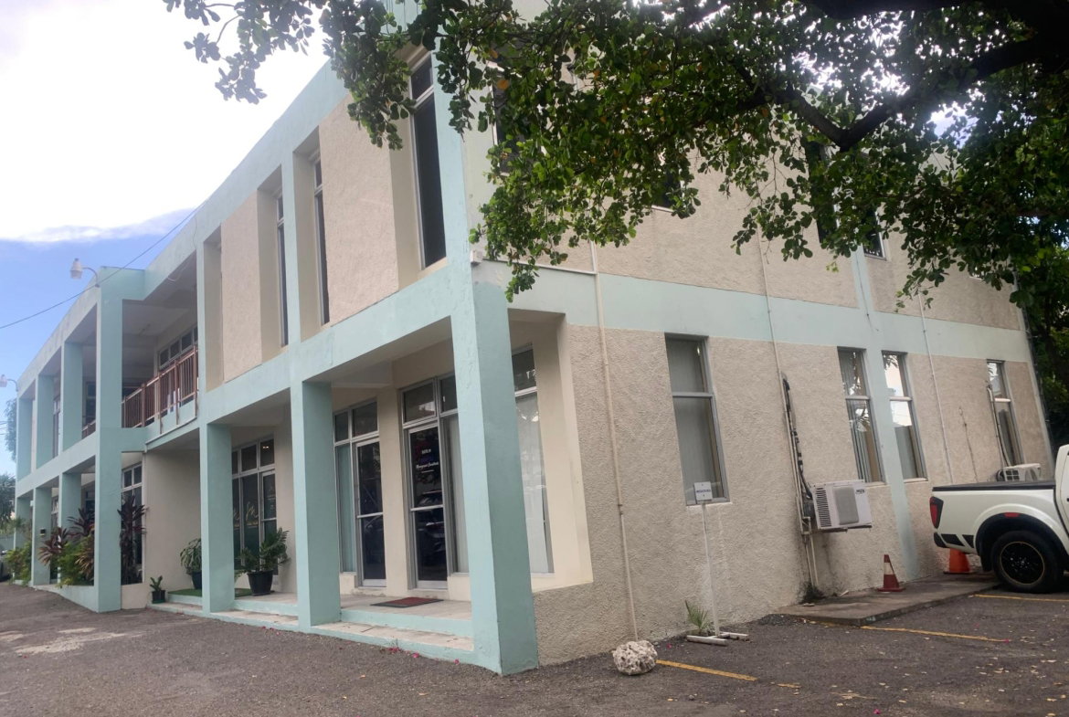 Third image of 4 Altamont Terrace in NEW KINGSTON, St. Andrew, Jamaica - property is For Rent