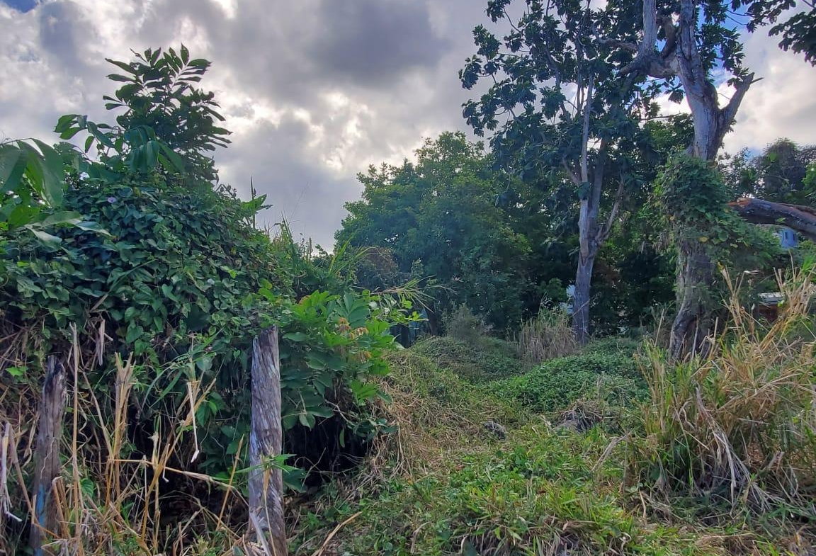 Second image of 71 Hopewell in Hopewell, Hanover, Jamaica - property is For Sale