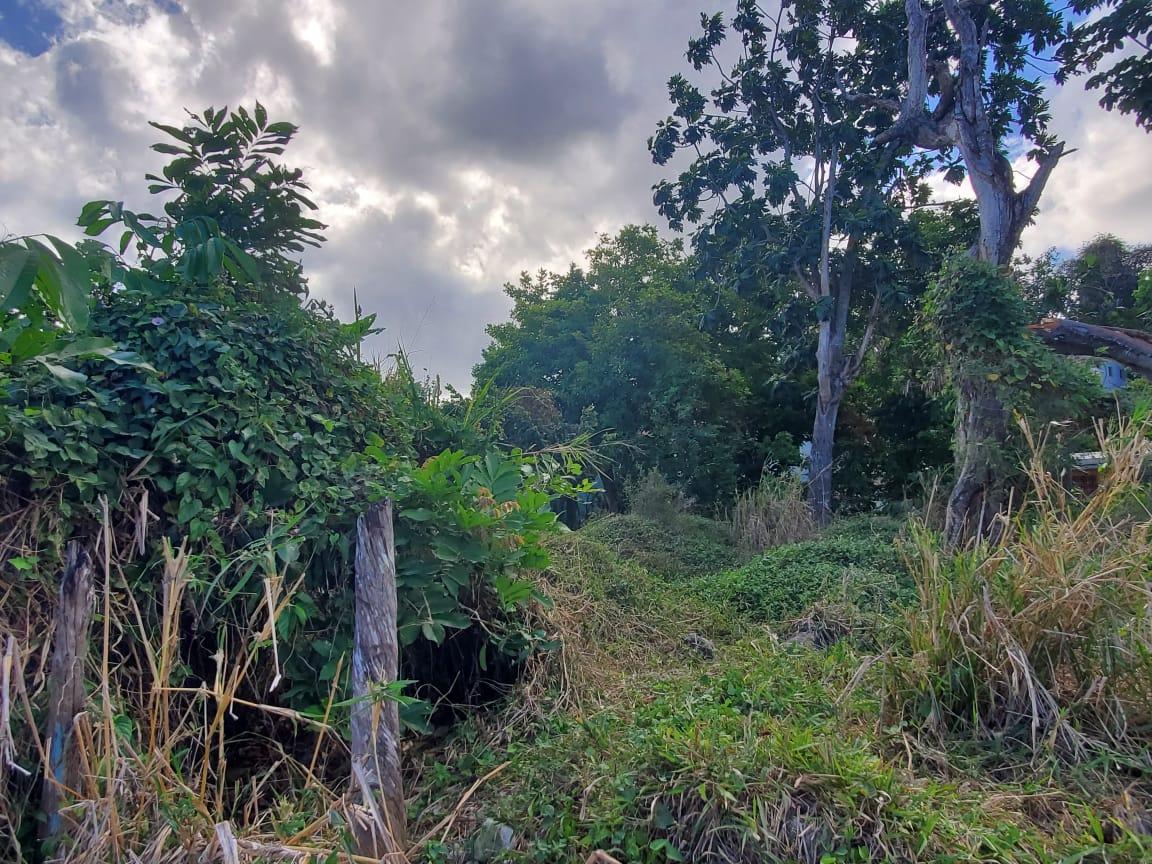 Second image of 71 Hopewell in Hopewell, Hanover, Jamaica - property is For Sale