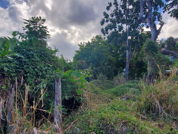 Second image of 71 Hopewell in Hopewell, Hanover, Jamaica - property is For Sale