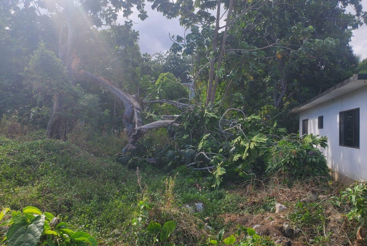First image of 71 Hopewell in Hopewell, Hanover, Jamaica - property is For Sale