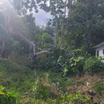 First image of 71 Hopewell in Hopewell, Hanover, Jamaica - property is For Sale