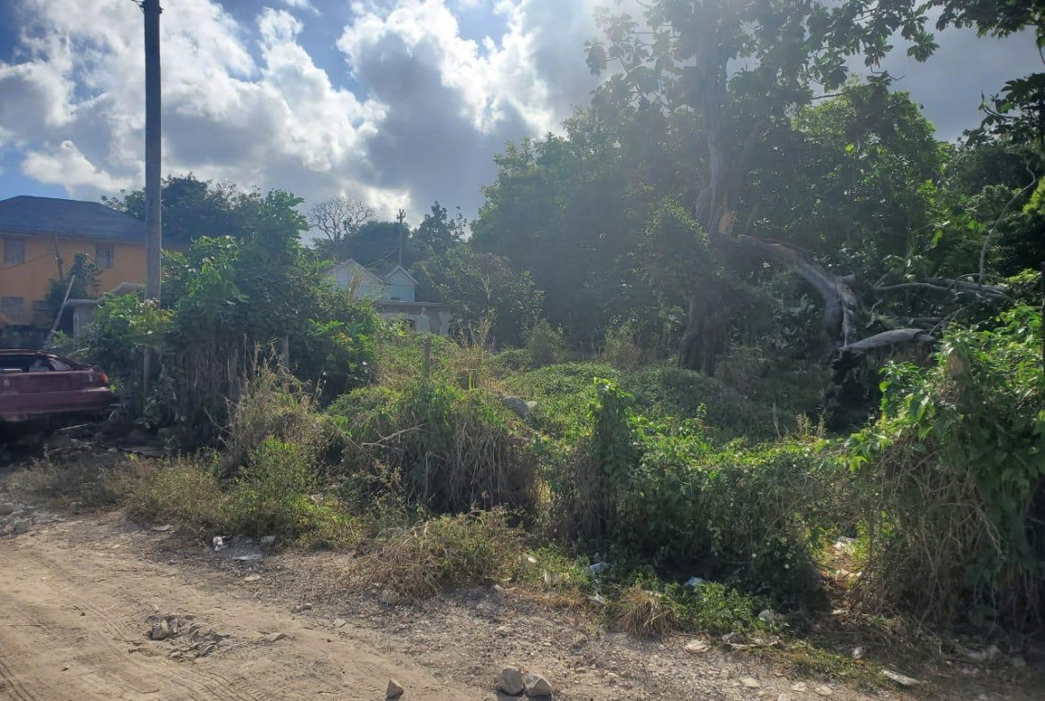 Sixth image of 71 Hopewell in Hopewell, Hanover, Jamaica - property is For Sale