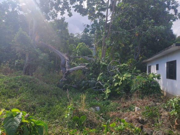 First image of 71 Hopewell in Hopewell, Hanover, Jamaica - property is For Sale