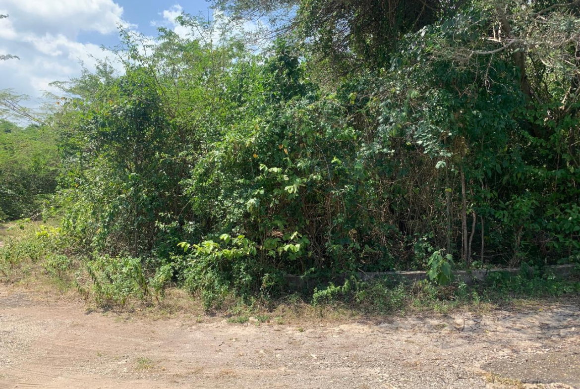 Second image of Cardiff Hall in Runaway Bay, St. Ann, Jamaica - property is For Sale
