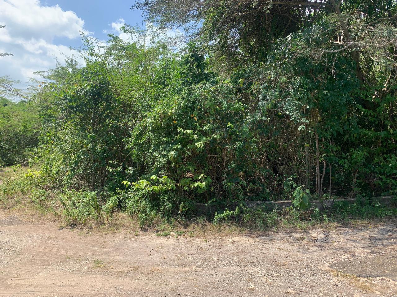 Second image of Cardiff Hall in Runaway Bay, St. Ann, Jamaica - property is For Sale