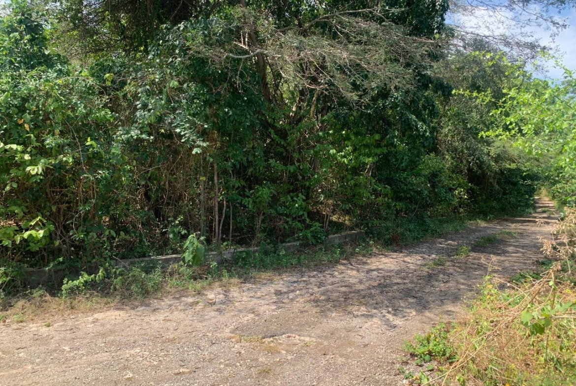 Third image of Cardiff Hall in Runaway Bay, St. Ann, Jamaica - property is For Sale