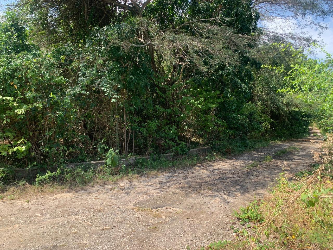 Third image of Cardiff Hall in Runaway Bay, St. Ann, Jamaica - property is For Sale