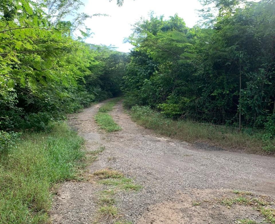 Fourth image of Cardiff Hall in Runaway Bay, St. Ann, Jamaica - property is For Sale