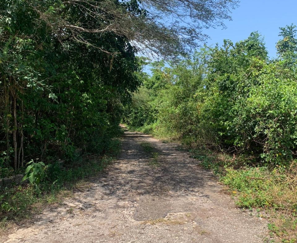 Fifth image of Cardiff Hall in Runaway Bay, St. Ann, Jamaica - property is For Sale