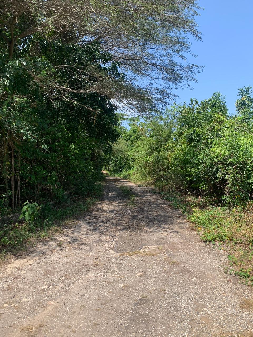 Fifth image of Cardiff Hall in Runaway Bay, St. Ann, Jamaica - property is For Sale