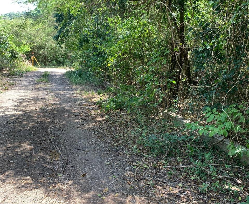 Sixth image of Cardiff Hall in Runaway Bay, St. Ann, Jamaica - property is For Sale