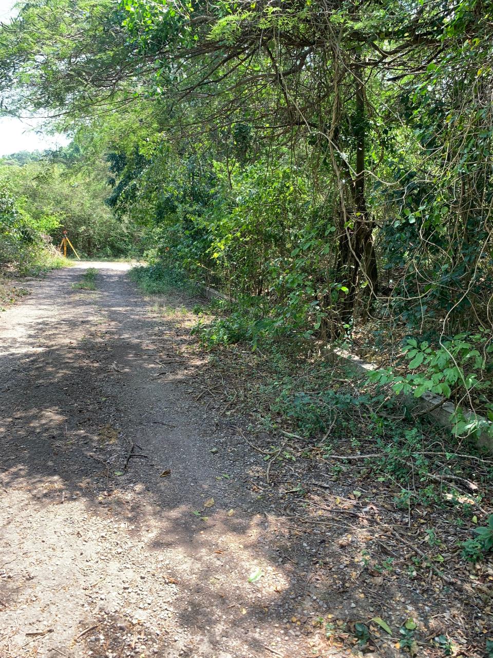 Sixth image of Cardiff Hall in Runaway Bay, St. Ann, Jamaica - property is For Sale