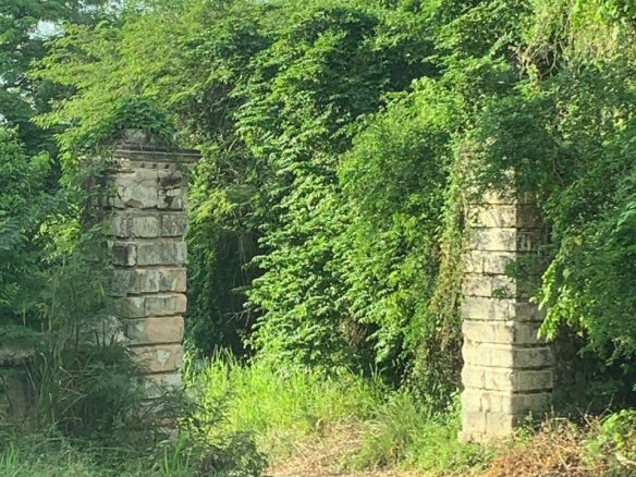 First image of Cardiff Hall in Runaway Bay, St. Ann, Jamaica - property is For Sale