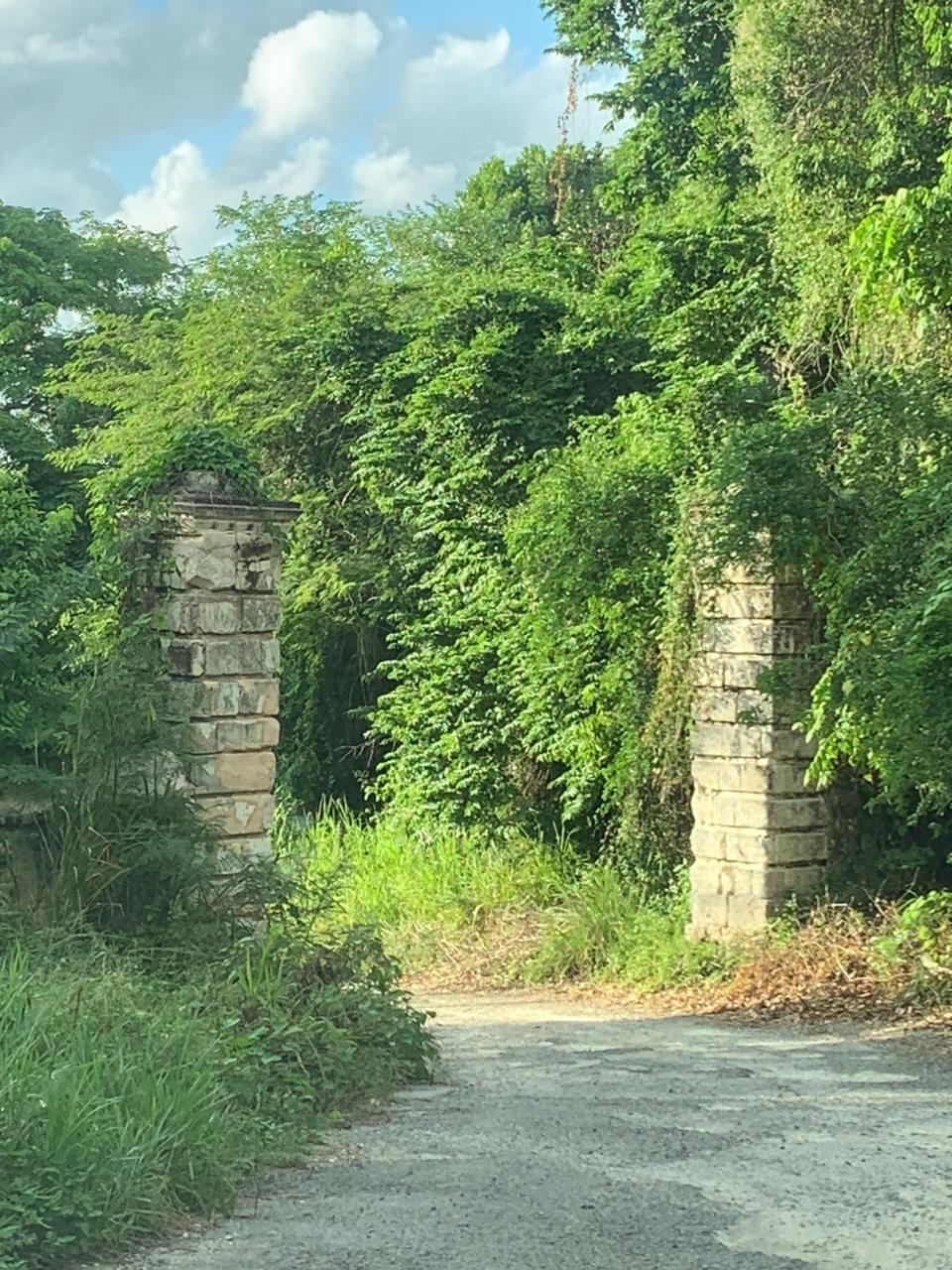 First image of Cardiff Hall in Runaway Bay, St. Ann, Jamaica - property is For Sale