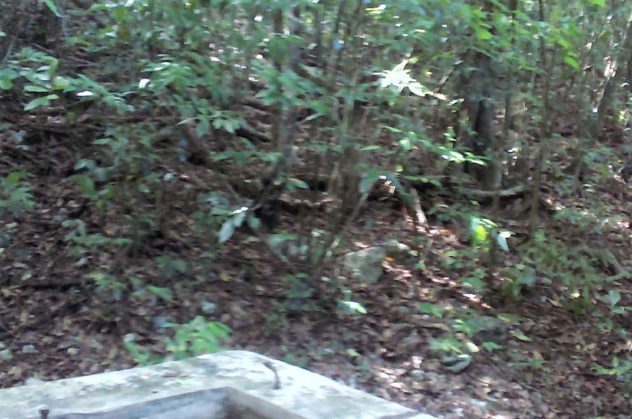 Third image of Belle Air in Runaway Bay, St. Ann, Jamaica - property is For Sale