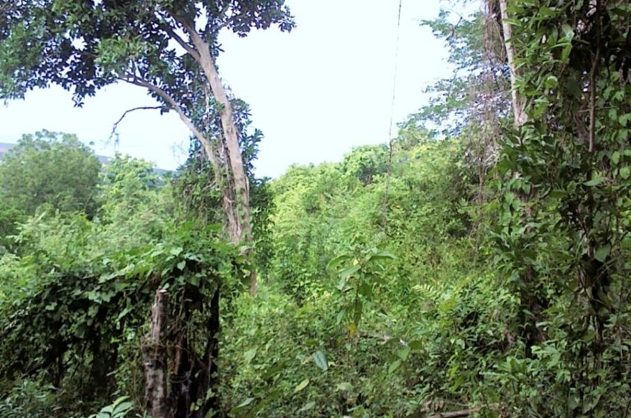 Sixth image of Belle Air in Runaway Bay, St. Ann, Jamaica - property is For Sale