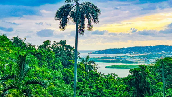 Twelfth image of Bogue Heights,montego Bay in Montego Bay, St. James, Jamaica - property is For Sale