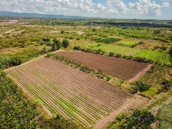 Second image of 14 & 17- Denbigh, Denbigh P.o. Cla in Denbigh, Clarendon, Jamaica - property is For Sale