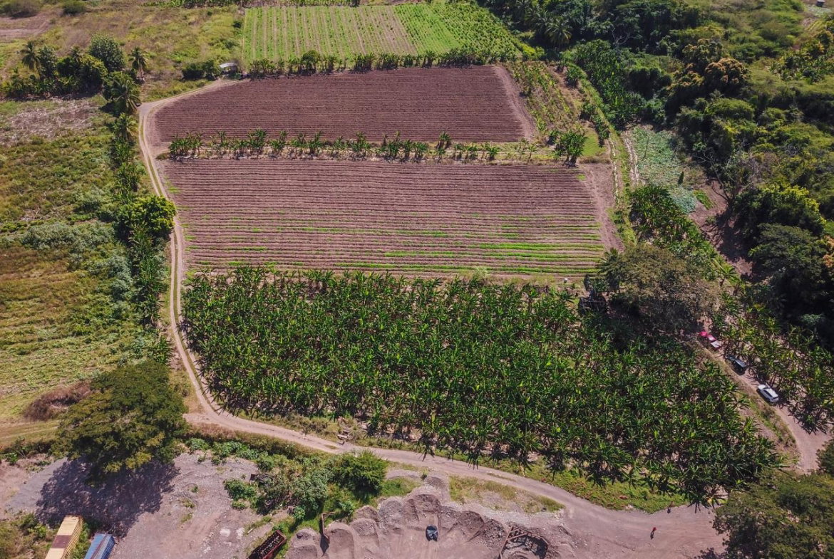 First image of 14 & 17- Denbigh, Denbigh P.o. Cla in Denbigh, Clarendon, Jamaica - property is For Sale