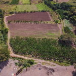 First image of 14 & 17- Denbigh, Denbigh P.o. Cla in Denbigh, Clarendon, Jamaica - property is For Sale