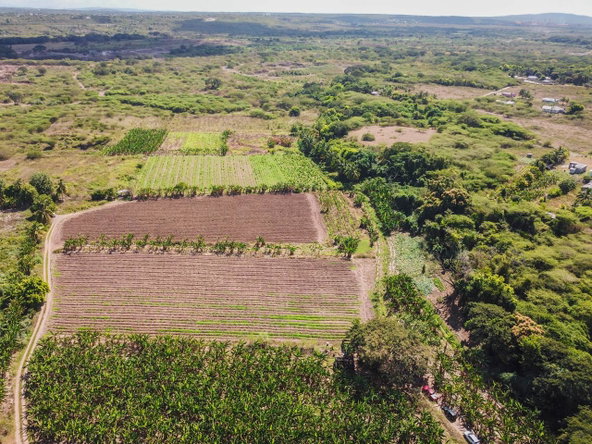 Fifth image of 14 & 17- Denbigh, Denbigh P.o. Cla in Denbigh, Clarendon, Jamaica - property is For Sale