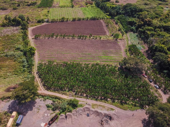 First image of 14 & 17- Denbigh, Denbigh P.o. Cla in Denbigh, Clarendon, Jamaica - property is For Sale