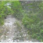 First image of Land Part of Gimme me Bit in Gimme Me Bit, Clarendon, Jamaica - property is For Sale