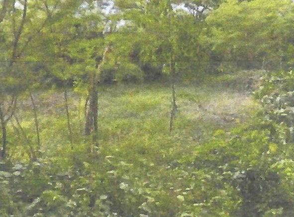 Third image of Land Part of Gimme me Bit in Gimme Me Bit, Clarendon, Jamaica - property is For Sale
