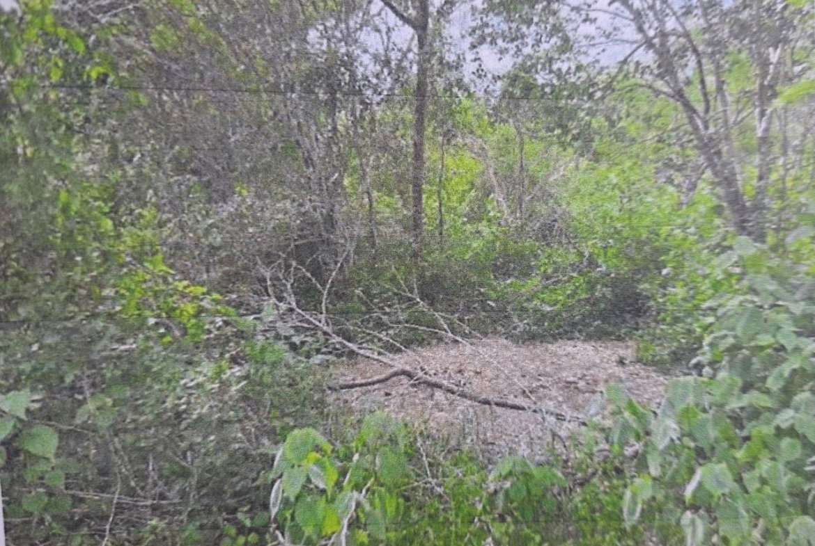 Sixth image of Land Part of Gimme me Bit in Gimme Me Bit, Clarendon, Jamaica - property is For Sale