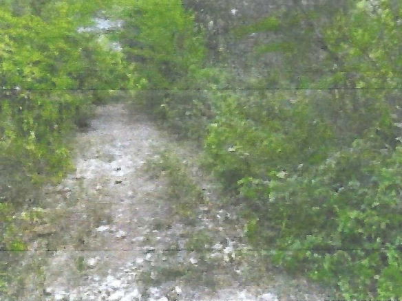 First image of Land Part of Gimme me Bit in Gimme Me Bit, Clarendon, Jamaica - property is For Sale