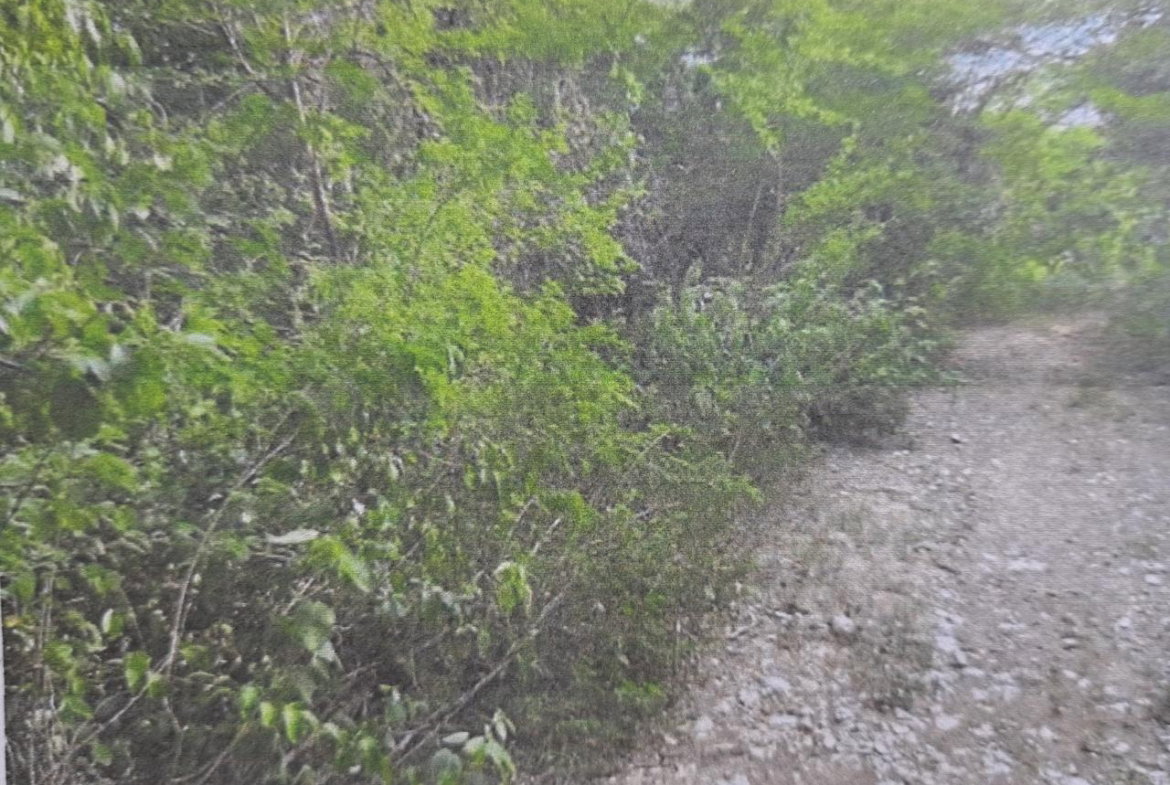 Seventh image of Land Part of Gimme me Bit in Gimme Me Bit, Clarendon, Jamaica - property is For Sale