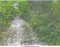 First image of Land Part of Gimme me Bit in Gimme Me Bit, Clarendon, Jamaica - property is For Sale