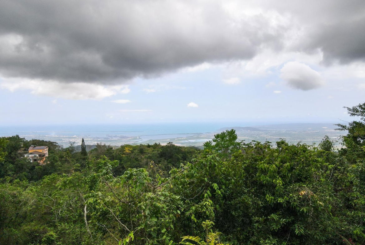 Eleventh image of 9 Frasers Crescent, Coopers in Coopers Hill, St. Andrew, Jamaica - property is For Sale