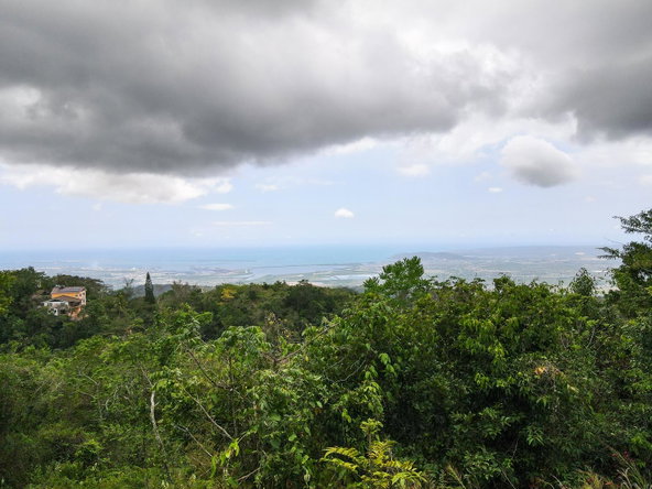 Eleventh image of 9 Frasers Crescent, Coopers in Coopers Hill, St. Andrew, Jamaica - property is For Sale