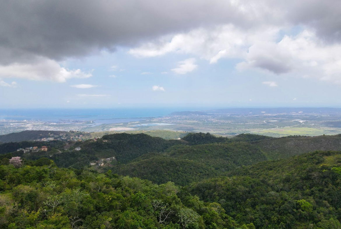 Twelfth image of 9 Frasers Crescent, Coopers in Coopers Hill, St. Andrew, Jamaica - property is For Sale