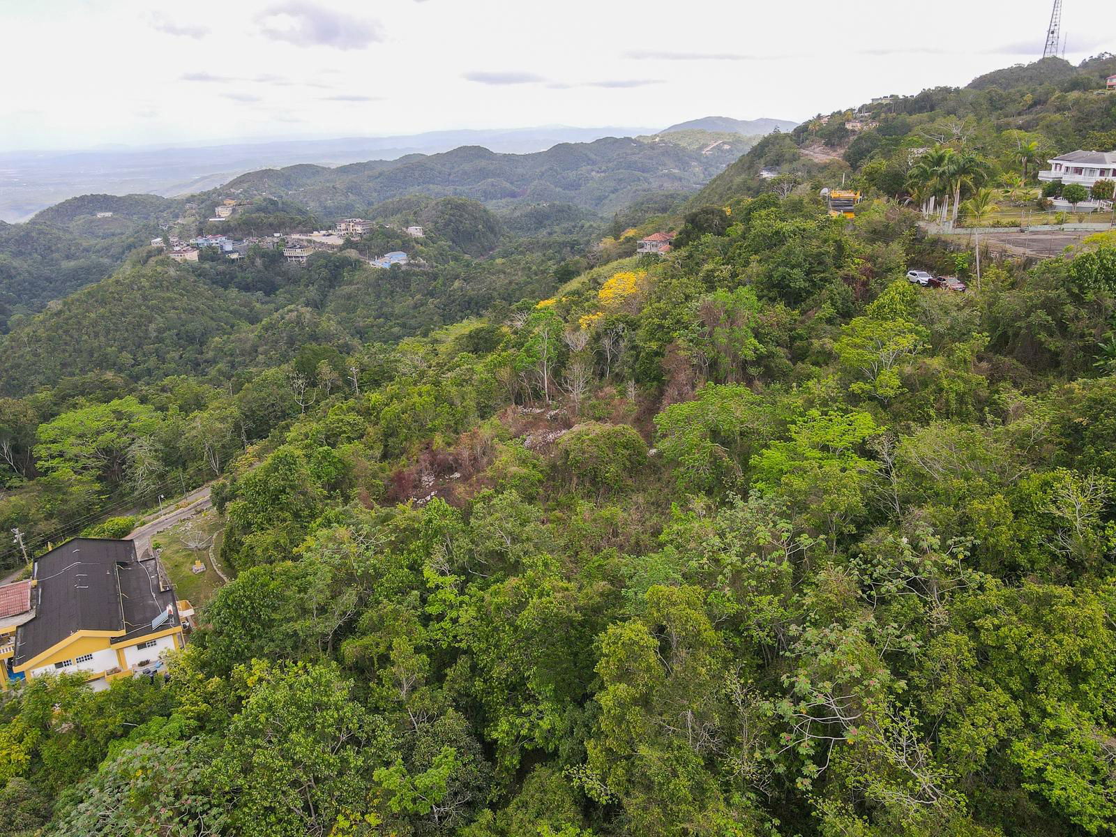 Thirteenth image of 9 Frasers Crescent, Coopers in Coopers Hill, St. Andrew, Jamaica - property is For Sale