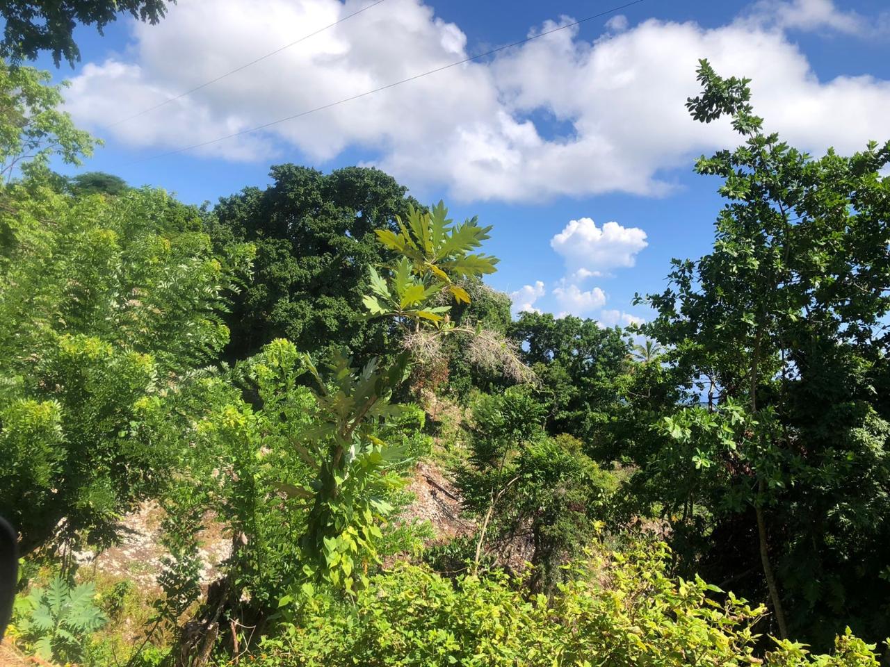 Second image of Darley Portland in Darley, Portland, Jamaica - property is For Sale