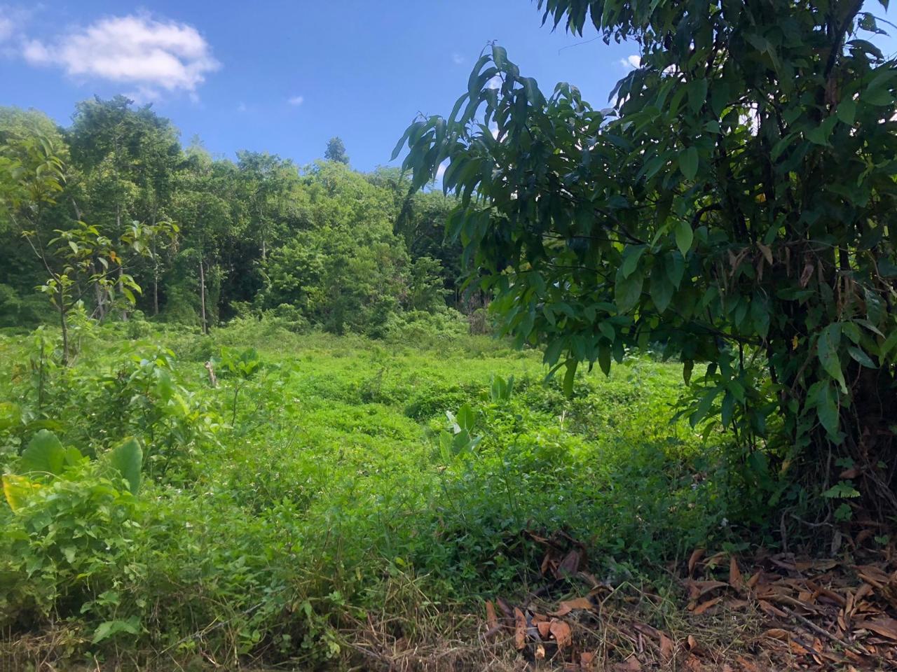 Twelfth image of Darley Portland in Darley, Portland, Jamaica - property is For Sale