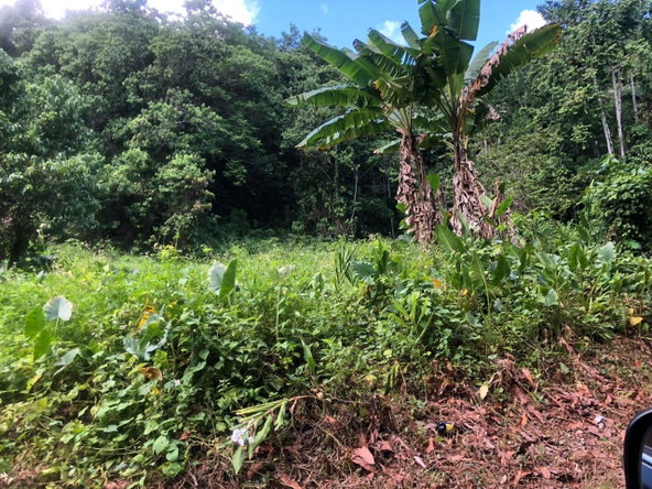 Thirteenth image of Darley Portland in Darley, Portland, Jamaica - property is For Sale