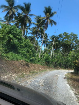 Fourteenth image of Darley Portland in Darley, Portland, Jamaica - property is For Sale